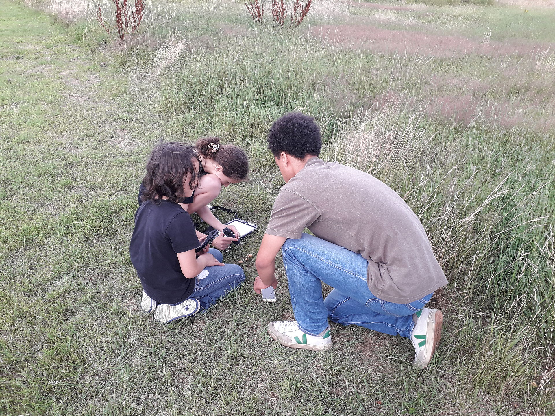 Kinder im Gras mit digitalen Mikroskopen