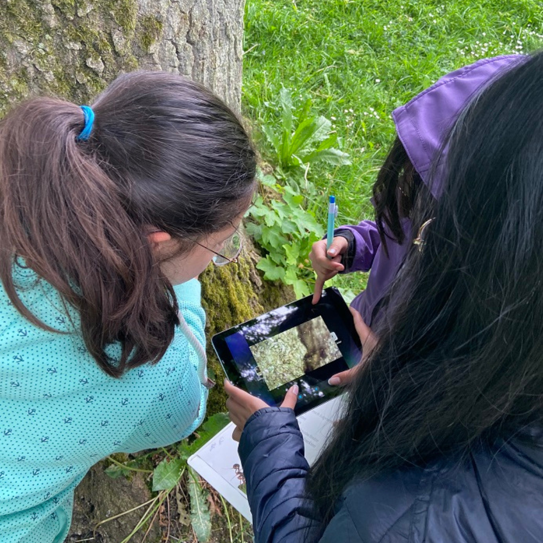 Mädchen untersuchen Pflanzen in der Natur